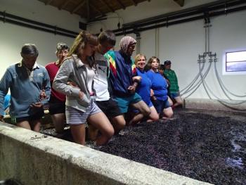 Mashing port grapes at Quinta do Passadouro.